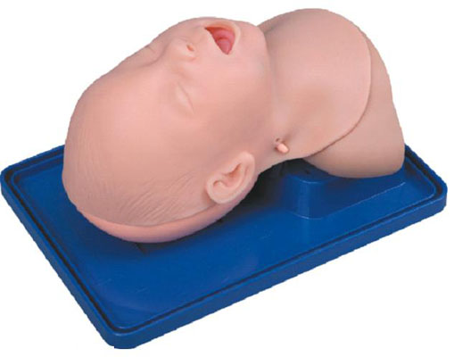 �߼����������ģ��