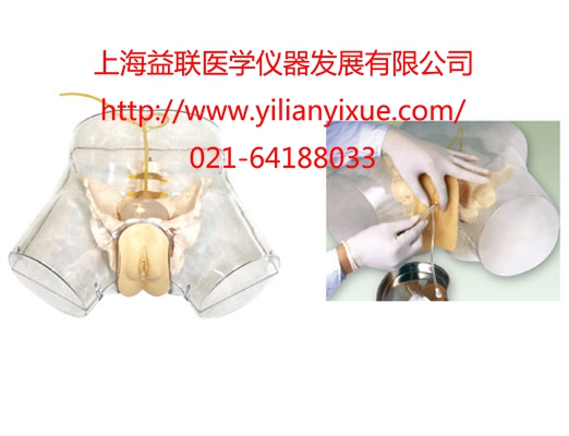 ͸��Ů�Ԍ�(d��o)��ģ��