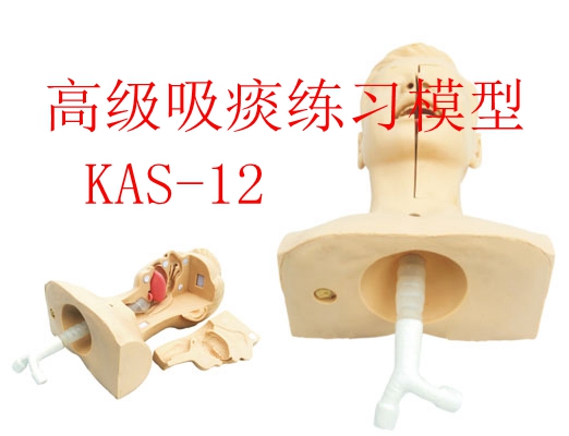 �߼���̵����(x��)ģ��