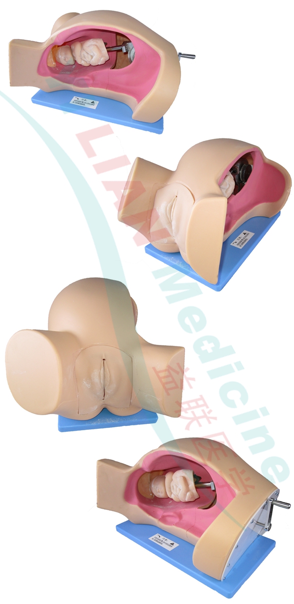 ����C�D(zhu��n)ʾ��ģ��