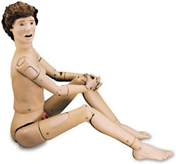 ��(bi��o)��(zh��n)�o(h��)��ģ����