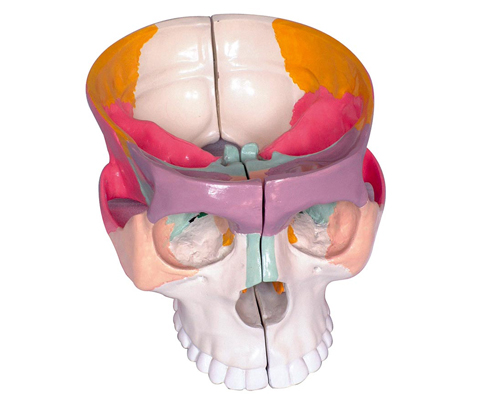 ��ɫ�B�׽��ʷŴ�