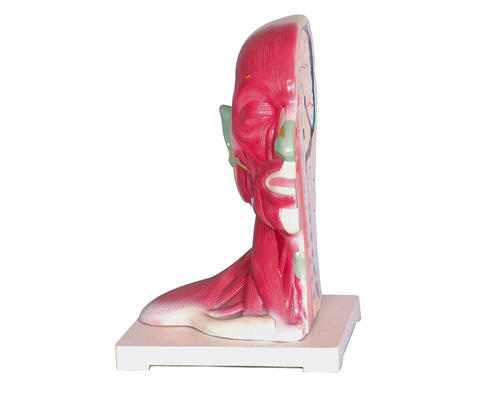 �^�����i���ֽ�