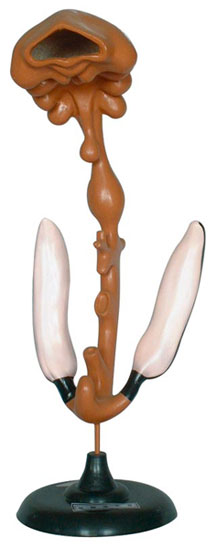 ԭʼ������ģ��