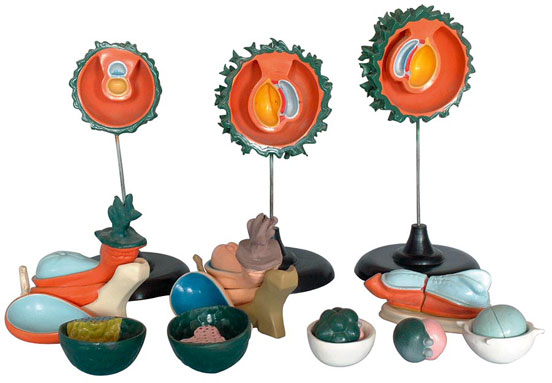 �����ܾ������Ѻ������γ��^�̣�13������