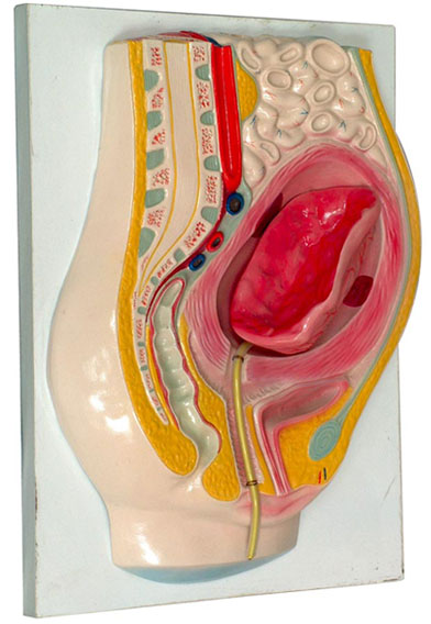 ̥�P���xģ�ͣ�1������