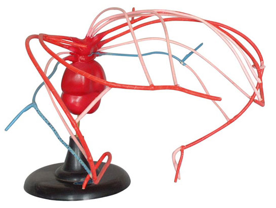 ����(d��ng)�}��׃