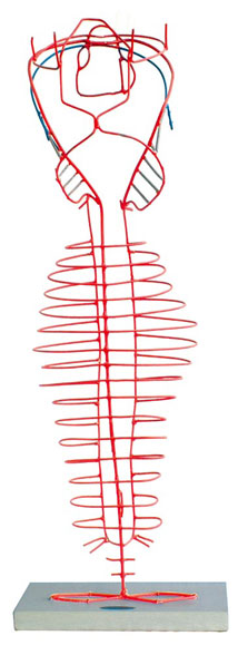 ������(d��ng)�}����׃