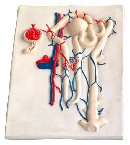 �I��λ�IС���㼚(x��)����3������