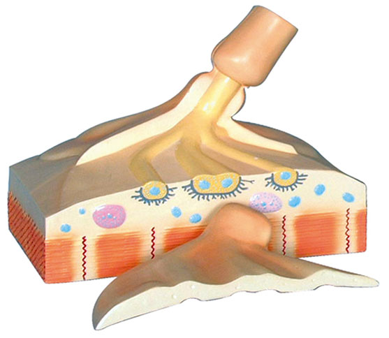 �\(y��n)��(d��ng)�K��ģ��