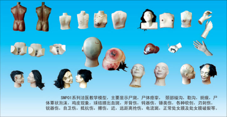 ���t(y��)�W(xu��)�̌W(xu��)ģ��