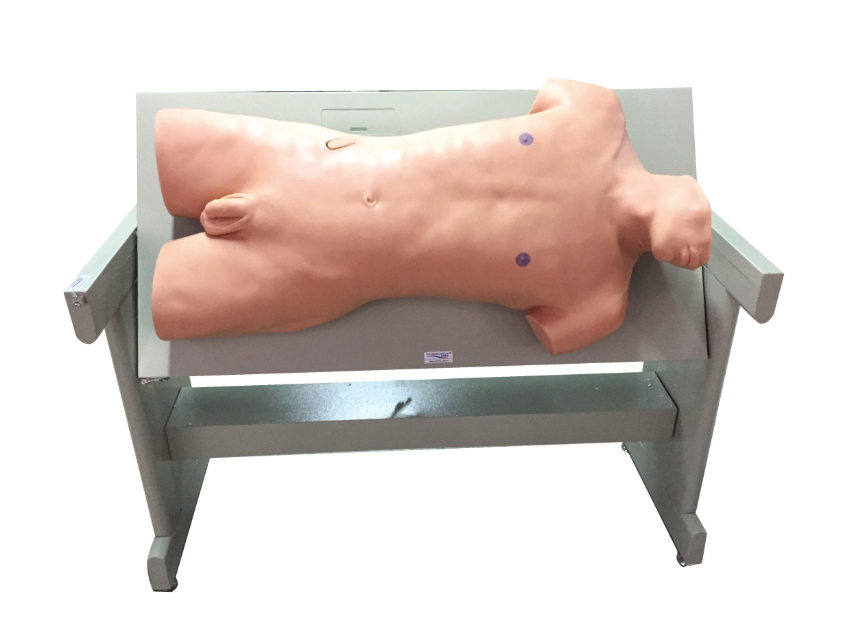 �C�ϴ���Ӗ(x��n)��ģ��