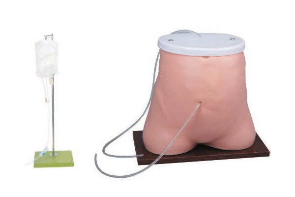 ��Ĥ͸��ģ��