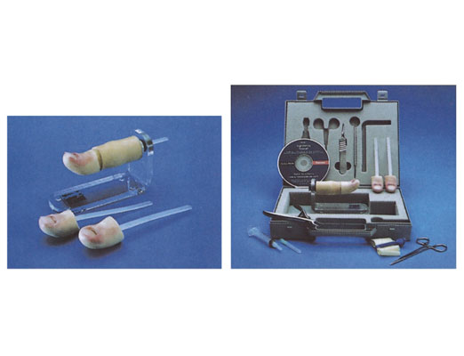 �μ��g(sh��)Ӗ(x��n)��������