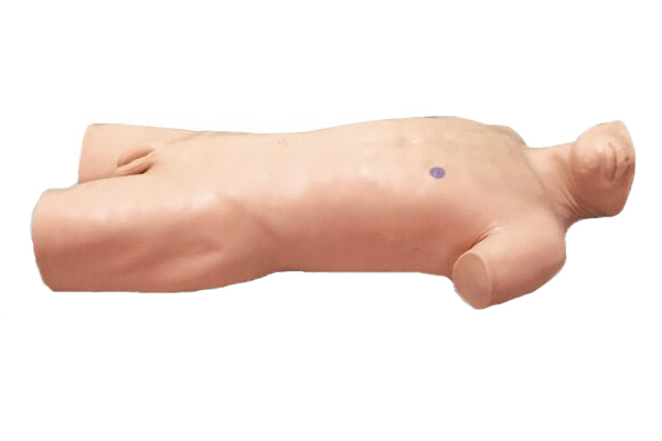 �����Ƅ�(d��ng)�ԝ���ߵ�\�c��ǻ����Ӗ(x��n)��ģ��