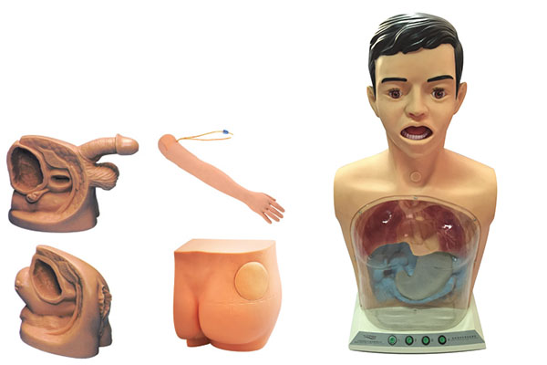 ���ͻ��A(ch��)�o�팍������ģ�ͣ��岿����