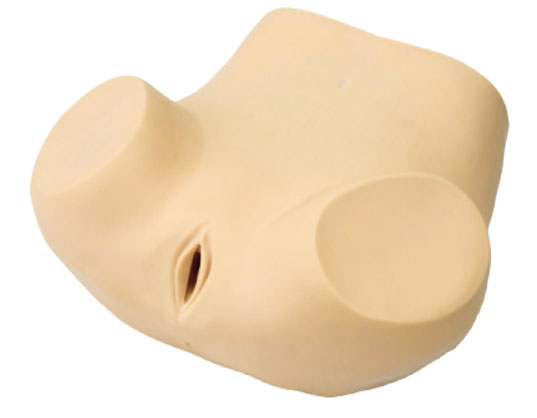 �߼��D��Ӗ(x��n)��ģ��