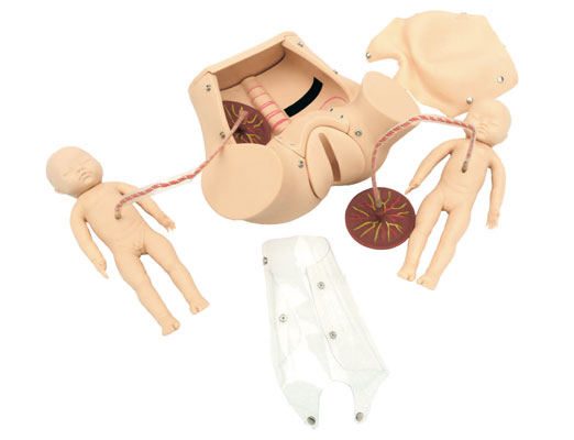 �߼�����C�ϼ���Ӗ(x��n)��ģ��