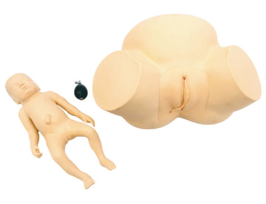 �߼�(j��)�y�a(ch��n)ʾ��Ӗ(x��n)��ģ��