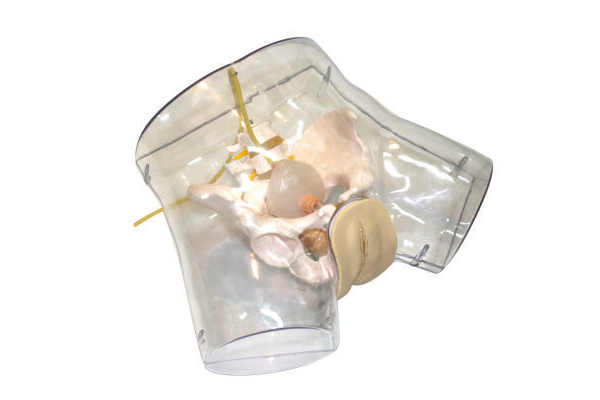 �߼�͸���Όmģ��