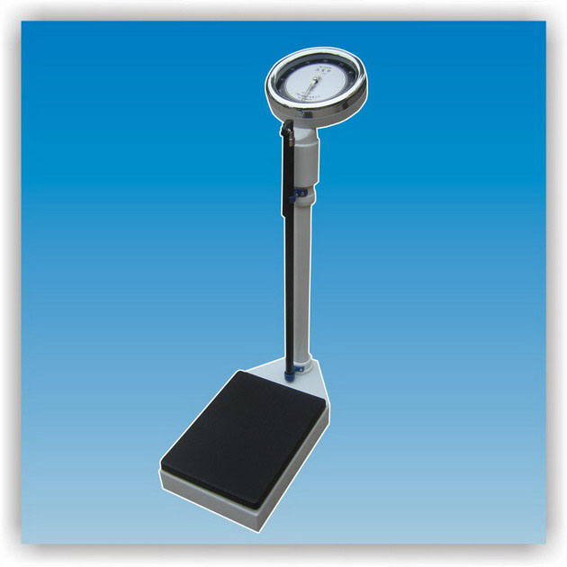 ���w�ӣ���������ָ�ʽ��