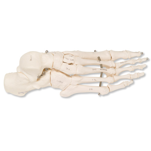 ��������ò��P䓽z�B����