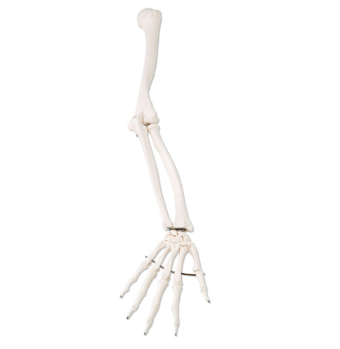 �۹Ǹ�����