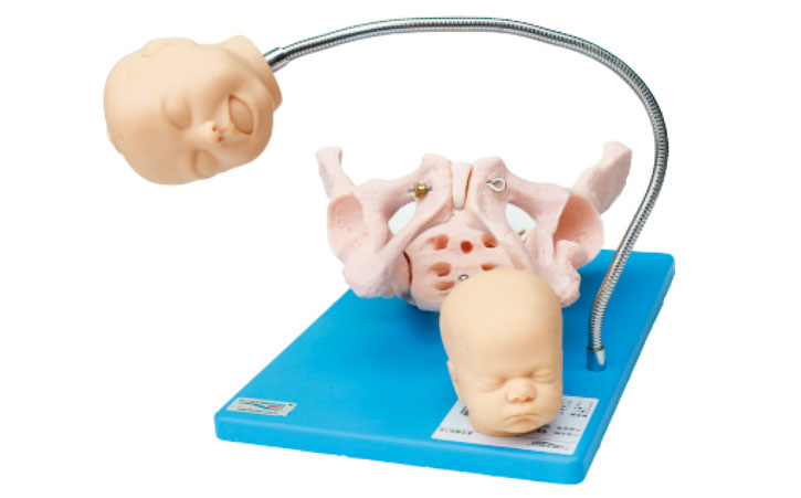 �߼�����C��ʾ��ģ��