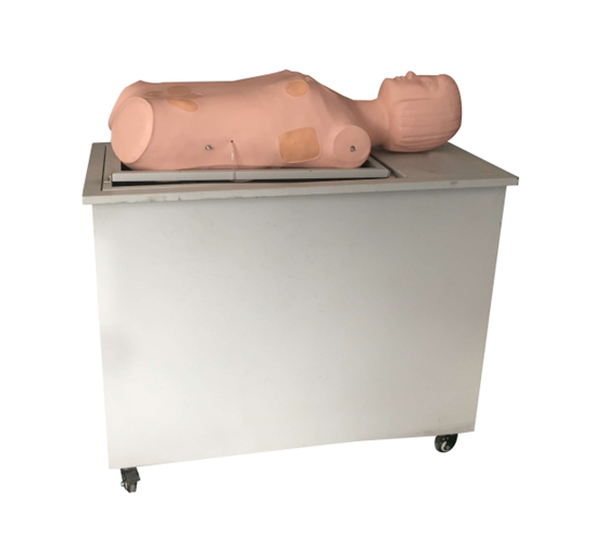 ȫ�Ԅ�(d��ng)��N����ߵ�\��XӖ(x��n)��ģ��