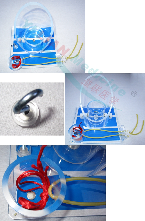 �߼��냺�^���C���o�}����ģ��