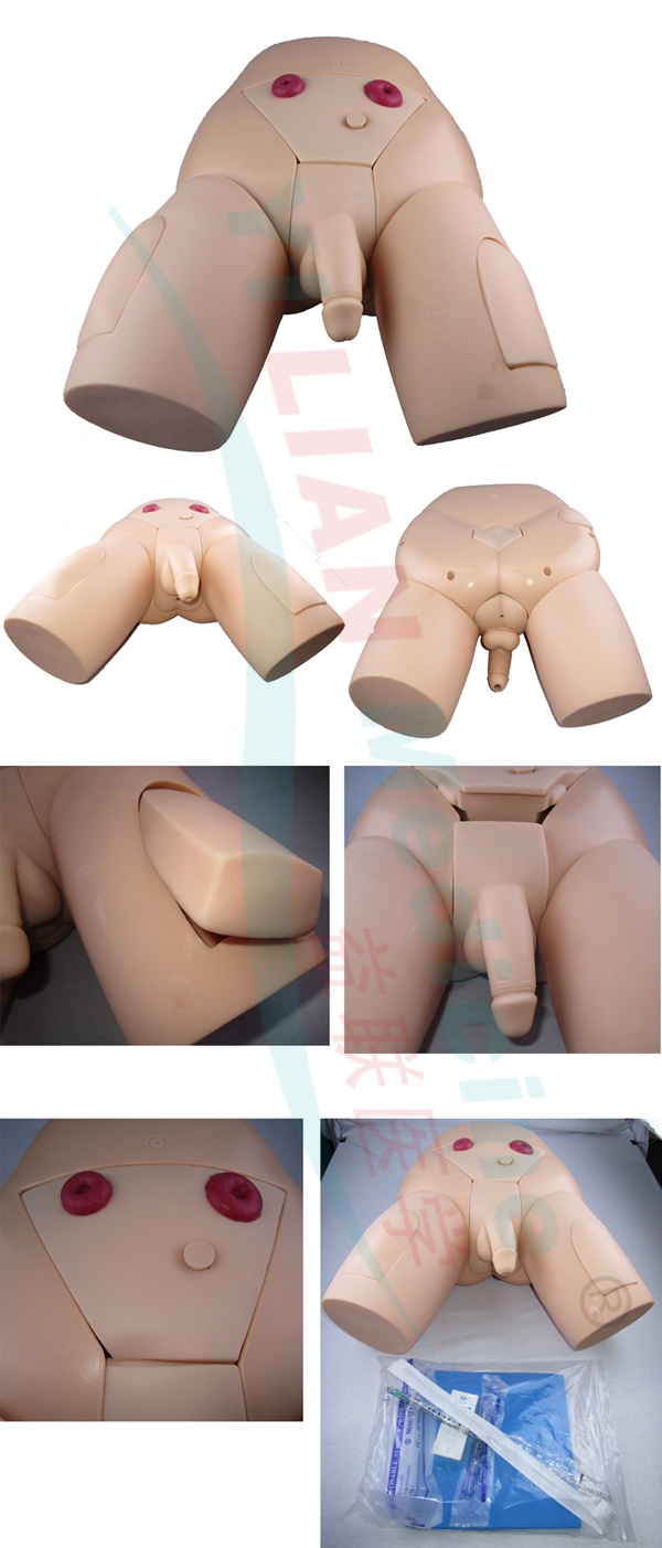 �߼����w���Ԍ���ģ��