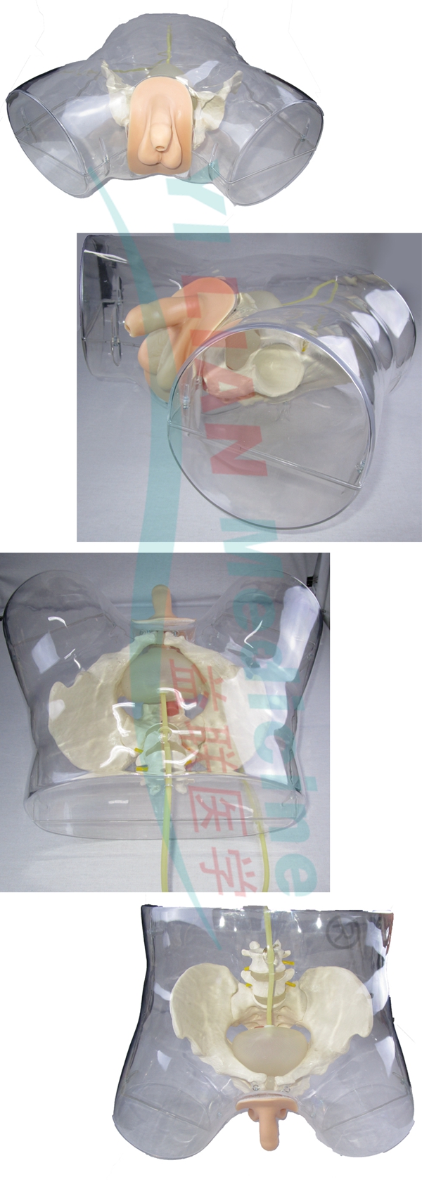 �߼�͸�����Ԍ���ģ��