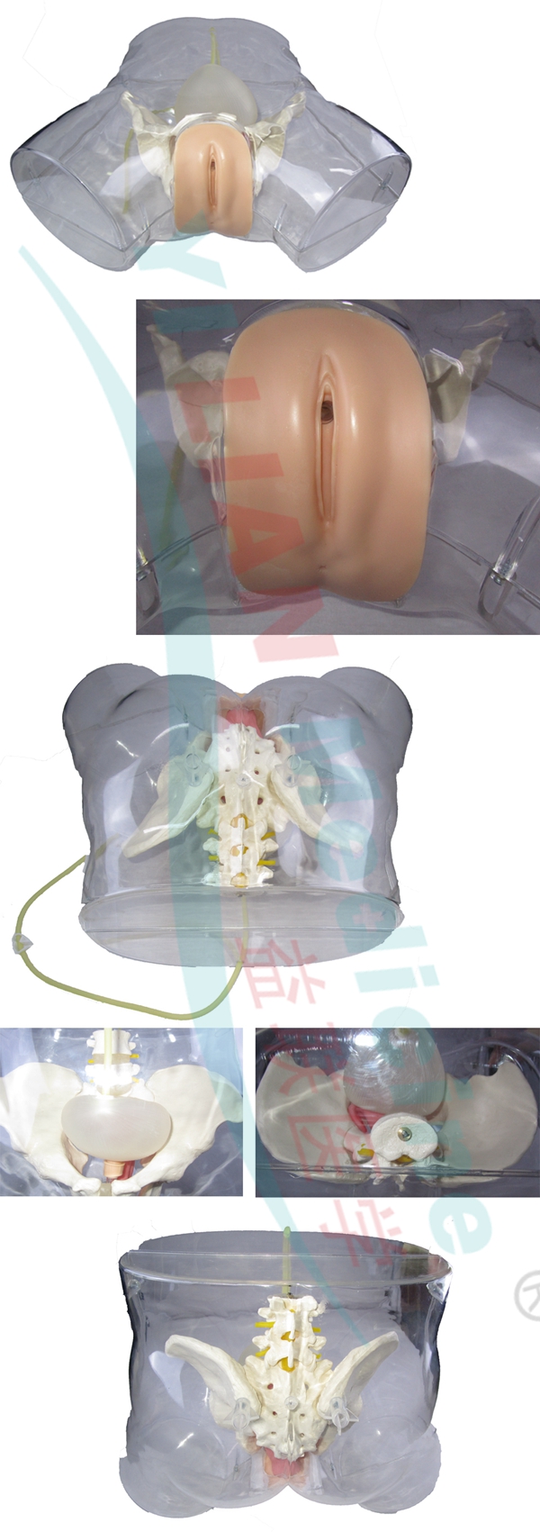 �߼�(j��)͸��Ů�Ԍ�(d��o)��ģ��