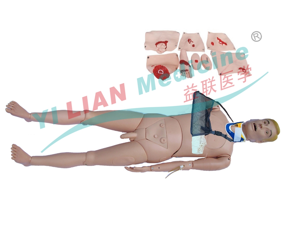  �挍�w��Ұ��(zh��n)���A����ģ�M��