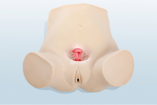 �D���ϭh(hu��n)��ȡ�h(hu��n)Ӗ(x��n)��ģ��