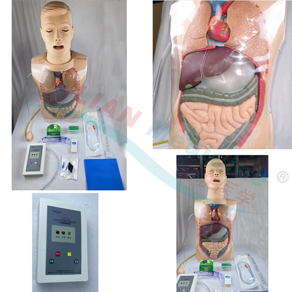 �๦��͸��ϴθӖ��ģ��