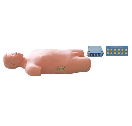 ȫ�Ԅ�(d��ng)�ķ�ߵ�\��Xģ�M��