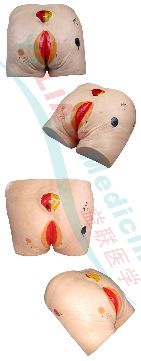 �߼�(j��)�������쯏���������o(h��)��ģ��