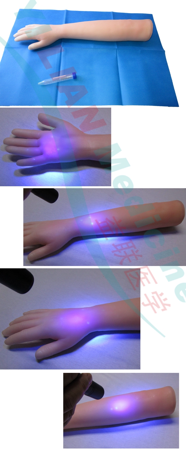 ᘴ�Ӗ(x��n)���ֱ�ģ��