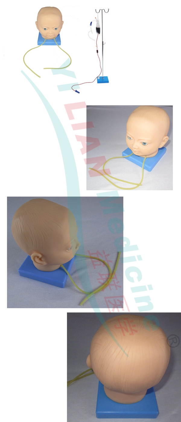 �߼�(j��)���z��ͯ�^Ƥ�o�}ע�䴩��Ӗ(x��n)��ģ��