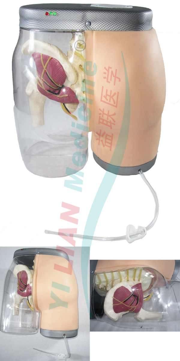 �߼��β�����ע�估����ģ��