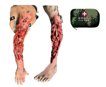 ����ʽ��ѪֹѪģ�MӖ����(��֫����֫��