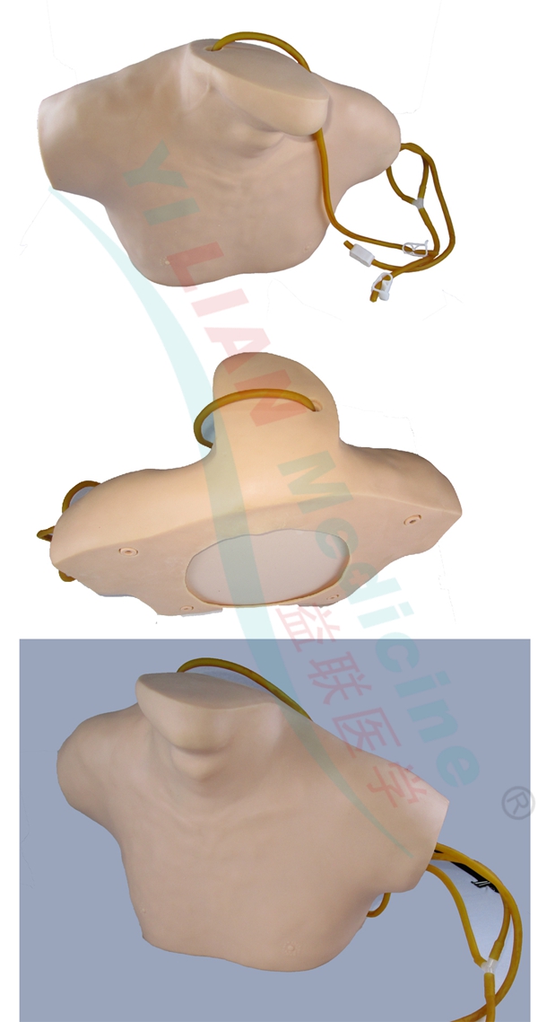 �����o�}���̲��ģ��