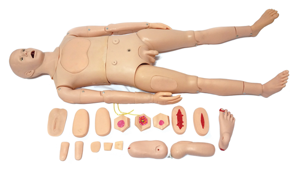 �߼�(j��)ȫ�����o(h��)����Ӗ(x��n)��ģ�ͣ����ԣ�